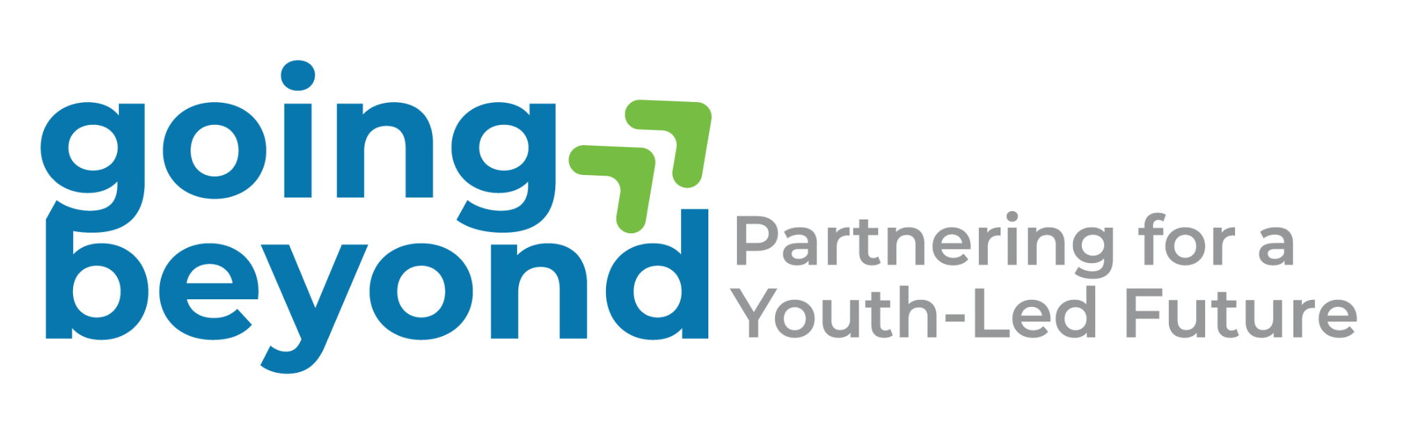 Youth Leadership